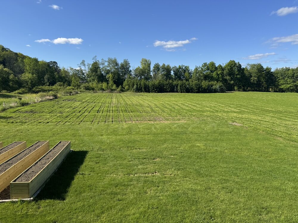 Green summer fields and raised garden beds at Tompkins Farm