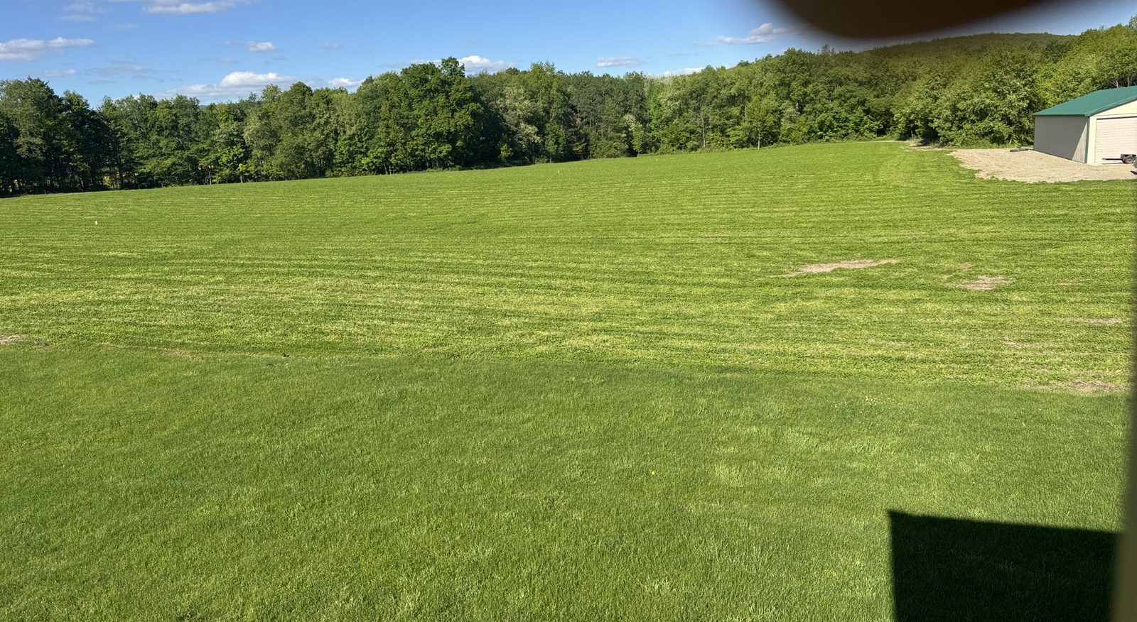 Tompkins Farm fields running to the tree line