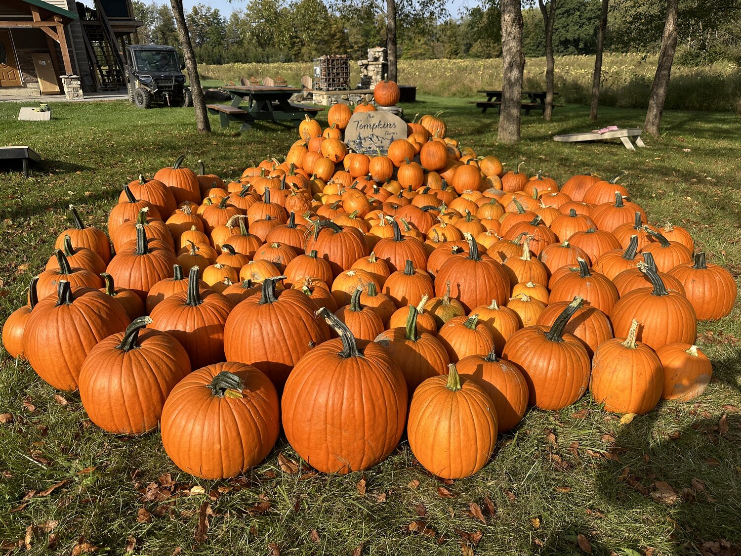 A pile of bright orange pumpkins at Tompkins Farm