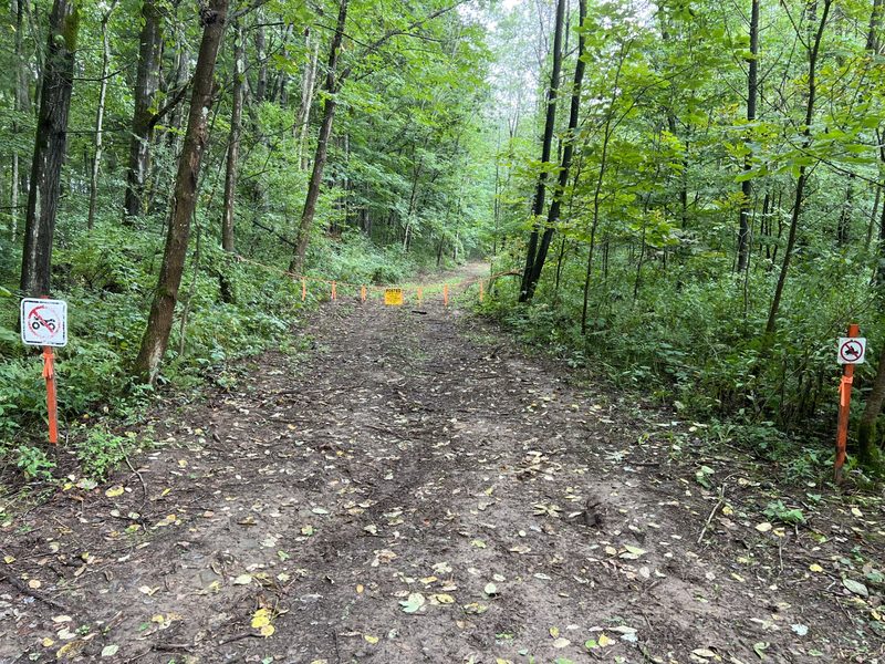 A grassy lane winding through the green woods at Tompkins Farm